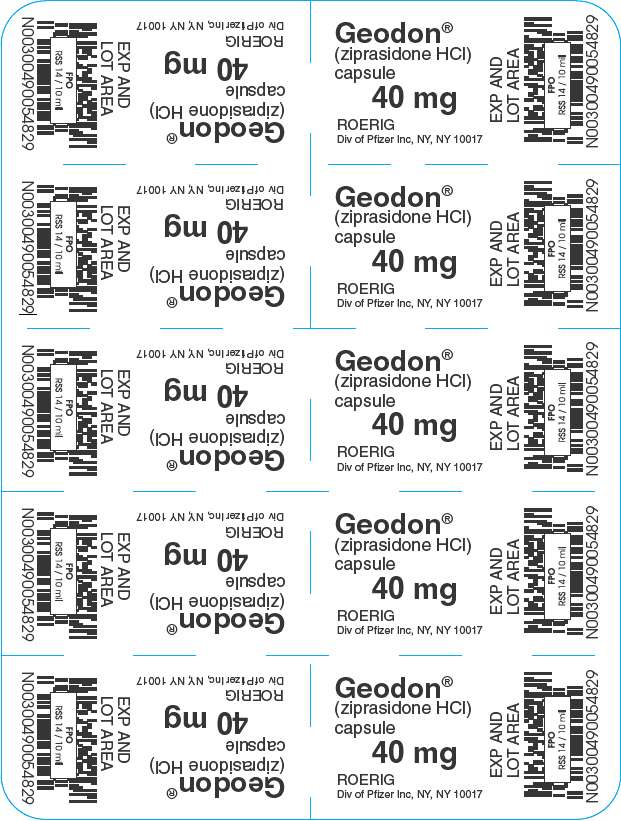 Geodon