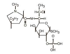 Clindacin ETZ