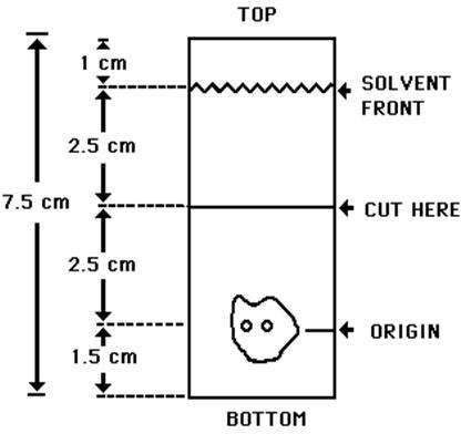 Kit for the Preparation of Technetium Tc99m Sestamibi