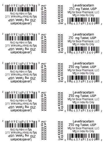 Levetiracetam