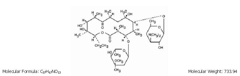 erythromycin