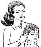 Lice Treatment