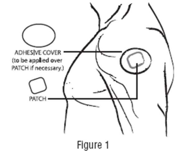 Clonidine transdermal system