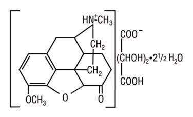 Hydrocodone Bitartrate and Ibuprofen