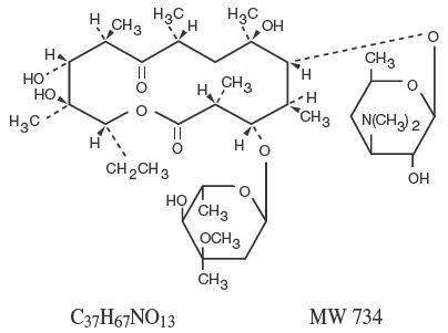 ERYTHROMYCIN