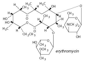 Erythromycin