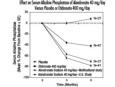 Alendronate Sodium