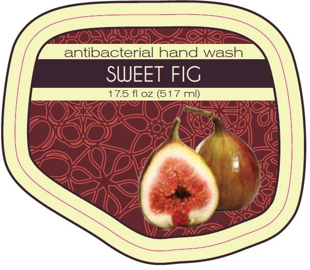 Sweet Fig Antibacterial Hand Wash