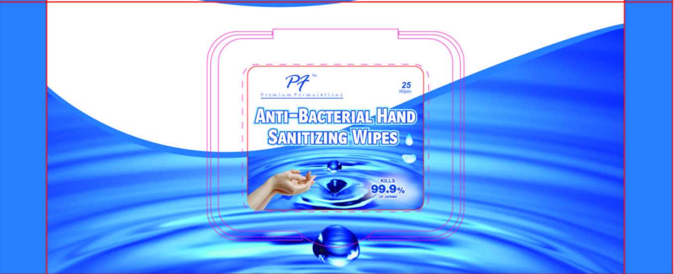 PF ANTI-BACTERIAL HAND SANITIZING WIPES