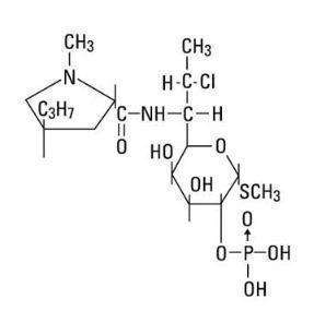 CLINDAMYCIN