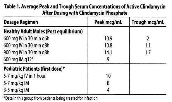 CLINDAMYCIN