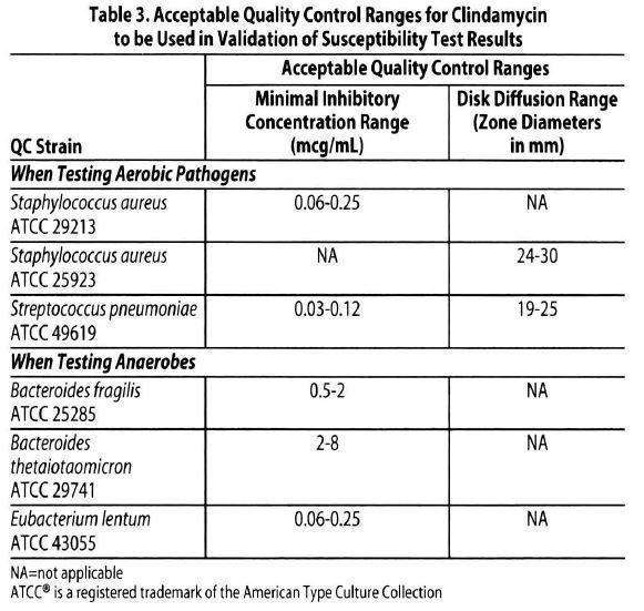 CLINDAMYCIN