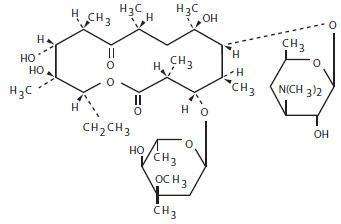 Erythromycin