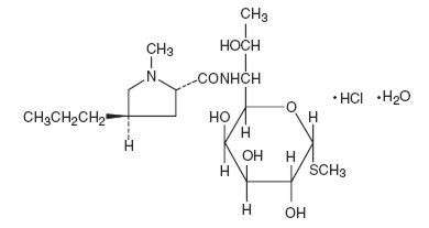 Lincocin