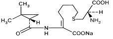 Imipenem and Cilastatin