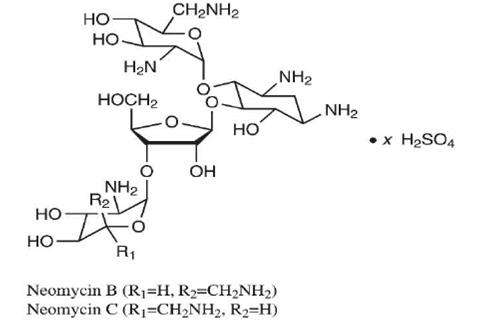 Neomycin and Polymyxin B Sulfates and Hydrocortisone