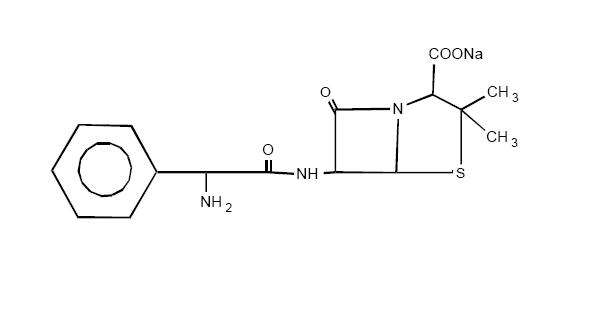 Ampicillin and Sulbactam