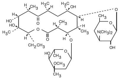 Erythromycin