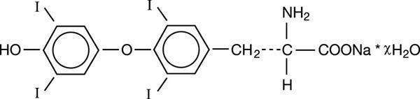 LEVOXYL