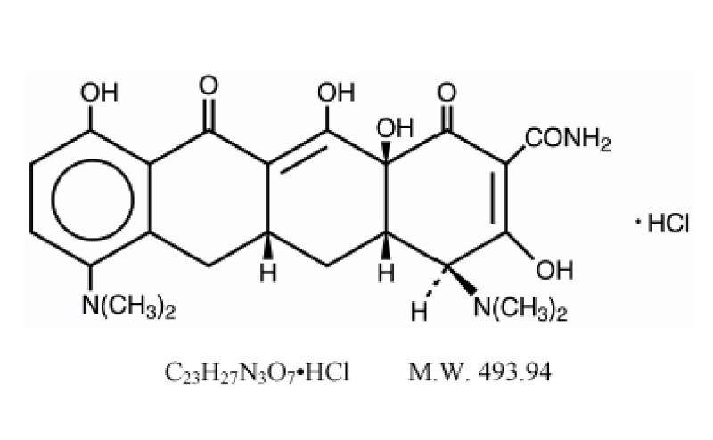 Minocin