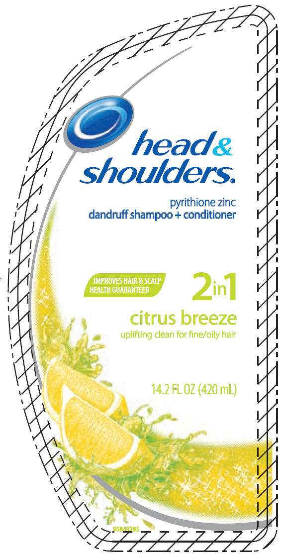 Head and Shoulders 2in1