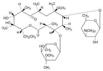 clarithromycin