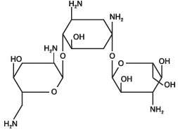 Tobramycin