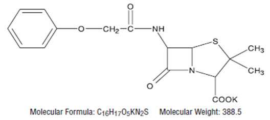 Penicillin V Potassium