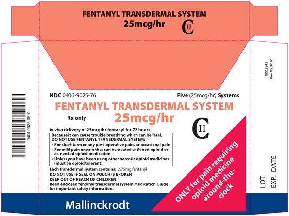 FENTANYL TRANSDERMAL SYSTEM