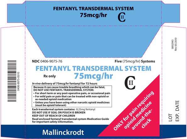 FENTANYL TRANSDERMAL SYSTEM