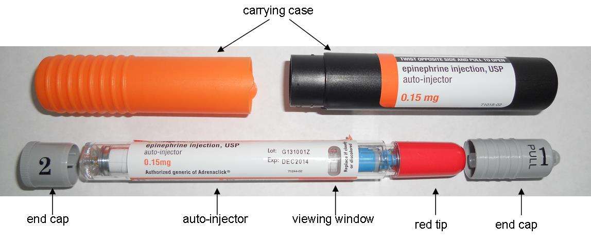 epinephrine