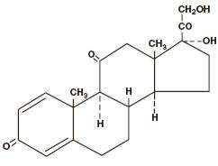 Prednisone