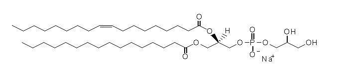 SURFAXIN