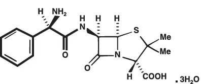 Ampicillin