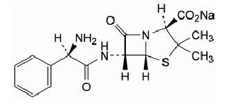 Ampicillin and Sulbactam