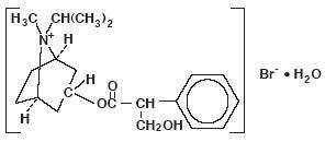 Ipratropium Bromide