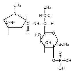 clindamycin phosphate