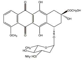 Epirubicin Hydrochloride