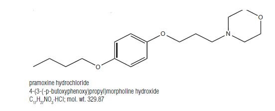 Hydrocortisone Acetate and Pramoxine Hydrochloride