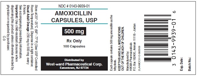 Amoxicillin