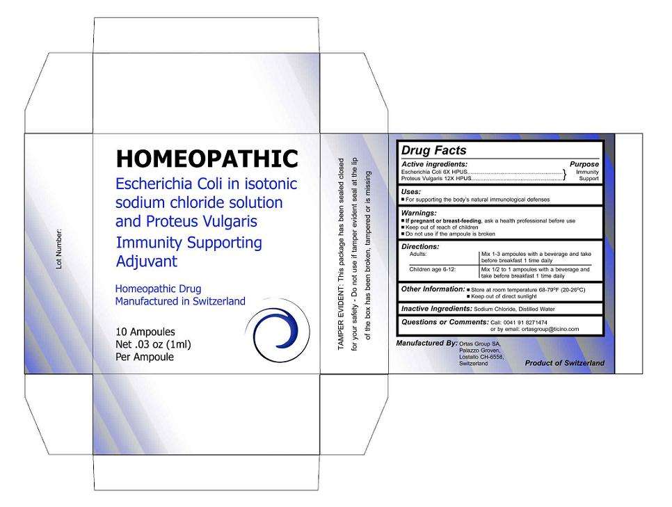 Homeopathic Immunity Supporting Adjuvant