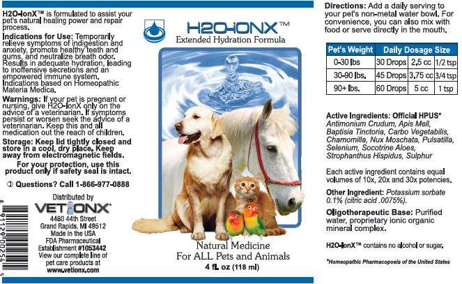 H2O Ionx