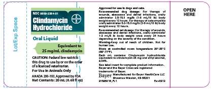 Clindamycin Hydrochloride Oral