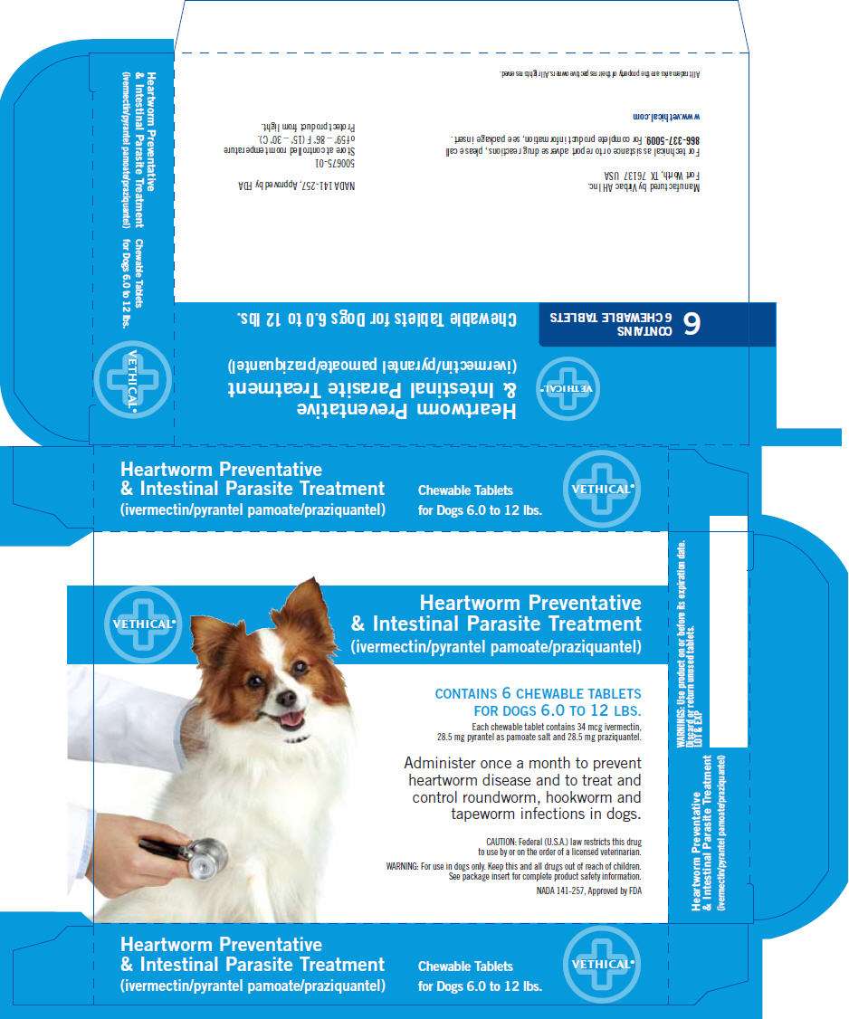 Heartworm Preventative and Intestinal Parasite Treatment