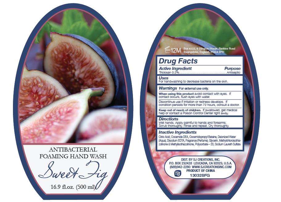 Sweet Fig Antibacterial Foaming Hand Wash