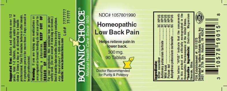 Homeopathic Low Back Pain Formula