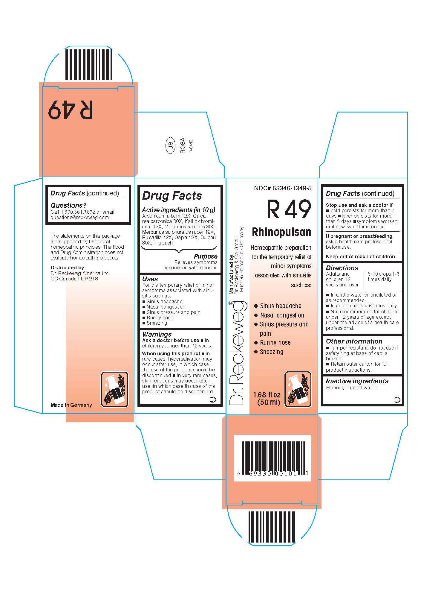 DR. RECKEWEG R49 Rhinopulsan