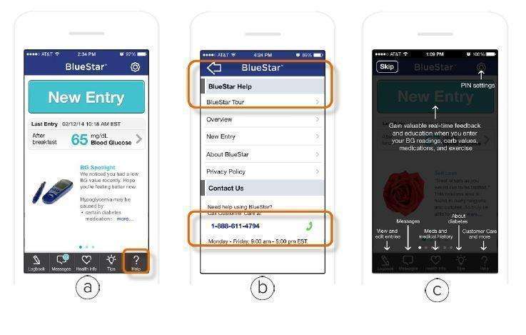 WellDoc BlueStar or WellDoc DiabetesManager System and DiabetesManager Rx System