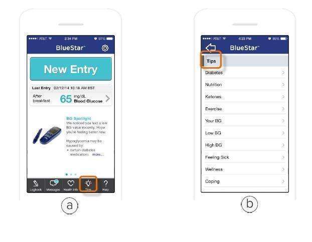 WellDoc BlueStar or WellDoc DiabetesManager System and DiabetesManager Rx System