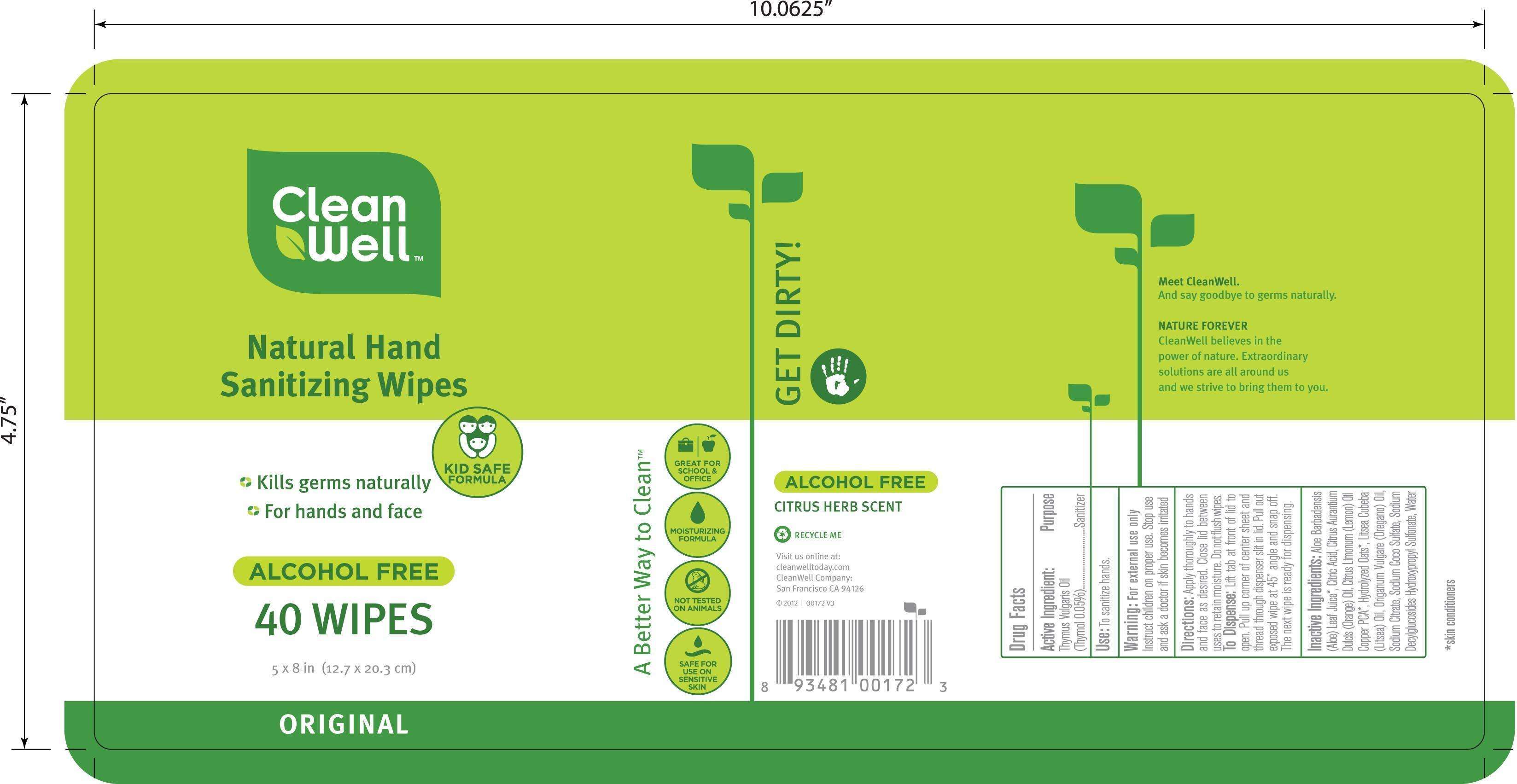 CleanWell Natural Original Hand Sanitizer Wipes